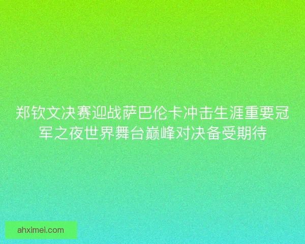 郑钦文决赛迎战萨巴伦卡冲击生涯重要冠军之夜世界舞台巅峰对决备受期待